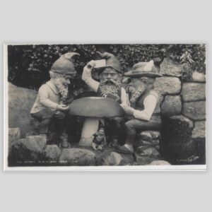 The Gnomes Blackgang Chine Isle of Wight Vintage RPPC Walter Scott Bradford Front