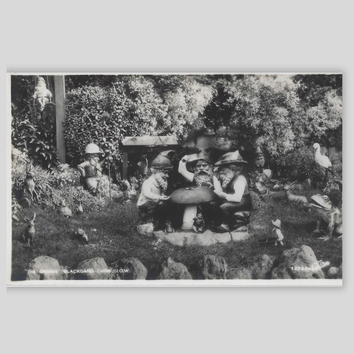 The Gnomes Full Woodland Scene Blackgang Chine Isle of Wight (Vintage RPPC Walter Scott, Bradford Front