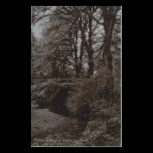 A Woodland Stream, New Forest (c.1920s–1930s) | Real Photo Postcard
