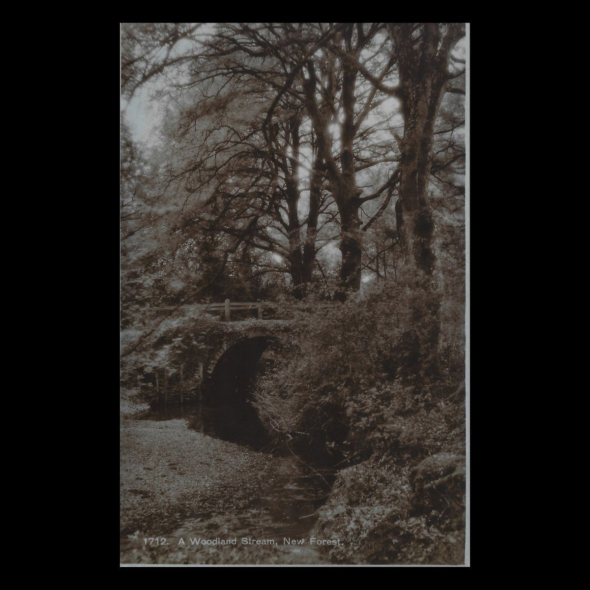 A Woodland Stream, New Forest (c.1920s–1930s) | Real Photo Postcard