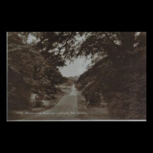 Bournemouth Road near Lyndhurst, New Forest (c.1920s–1930s) | Real Photo Postcard