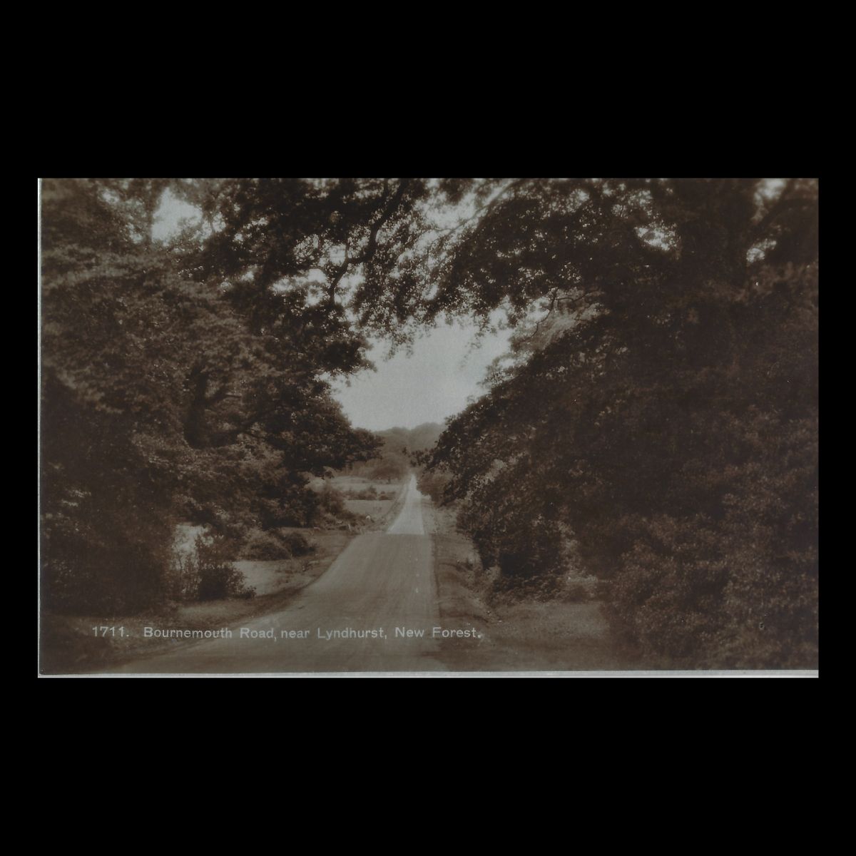 Bournemouth Road near Lyndhurst, New Forest (c.1920s–1930s) | Real Photo Postcard