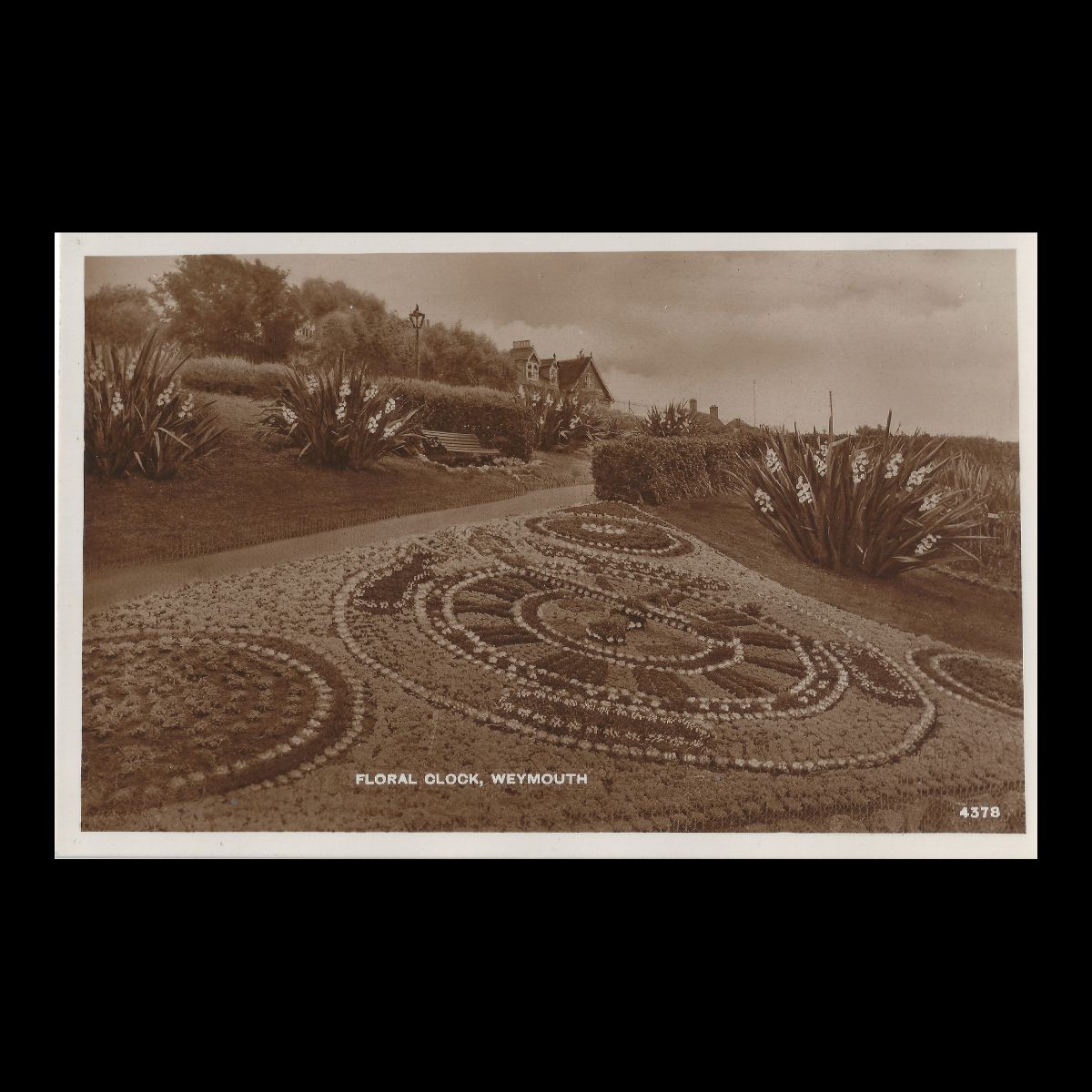 Floral Clock Weymouth Real Photo Postcard