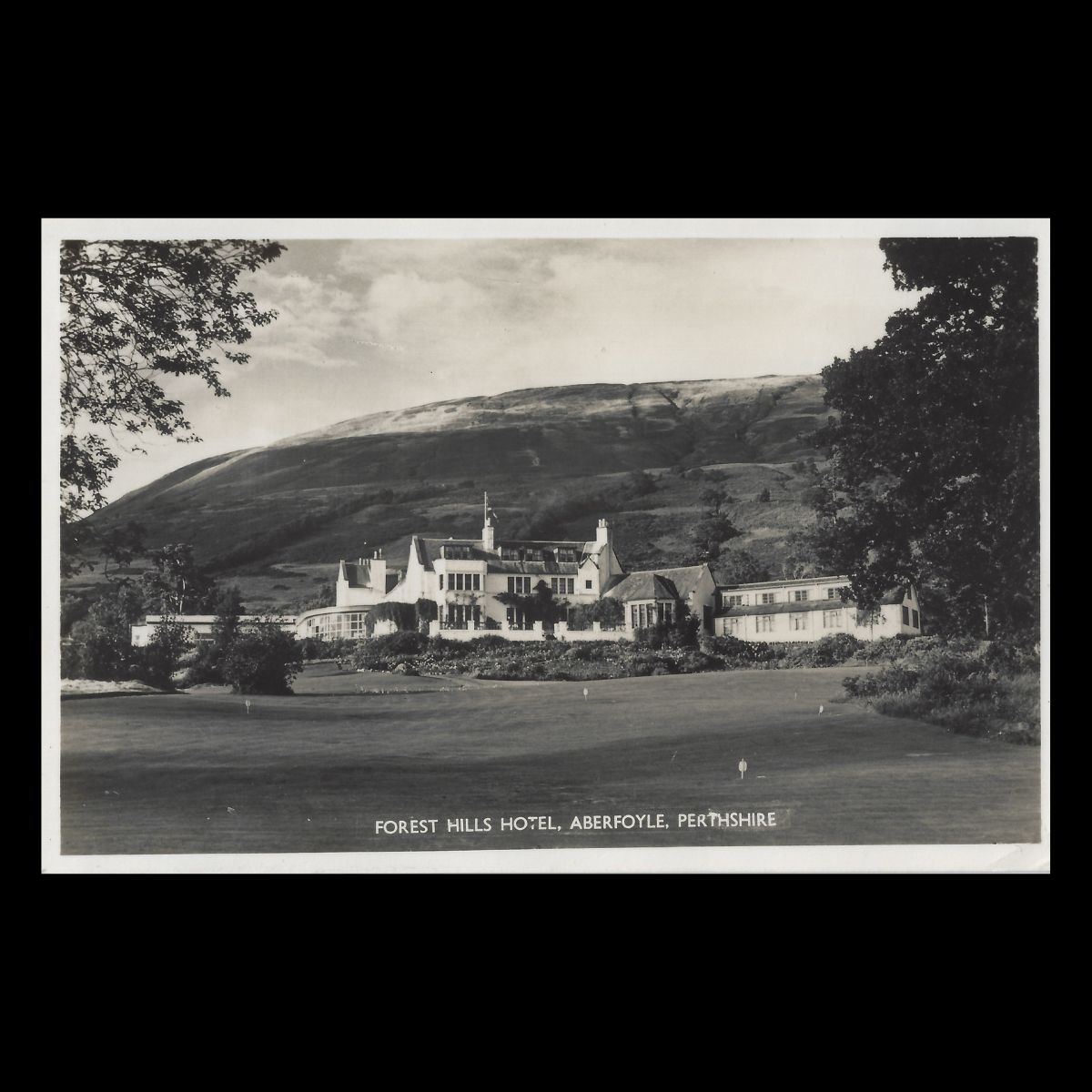 Forest Hills Hotel Aberfoyle Perthshire Real Photo Postcard