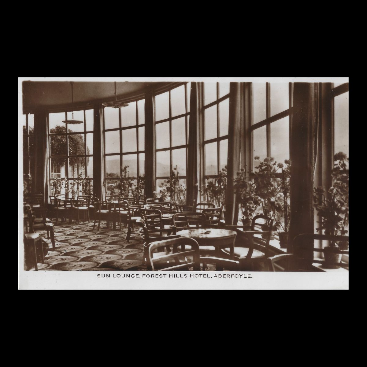 Sun Lounge Forest Hills Hotel, Aberfoyle Real Photo Postcard