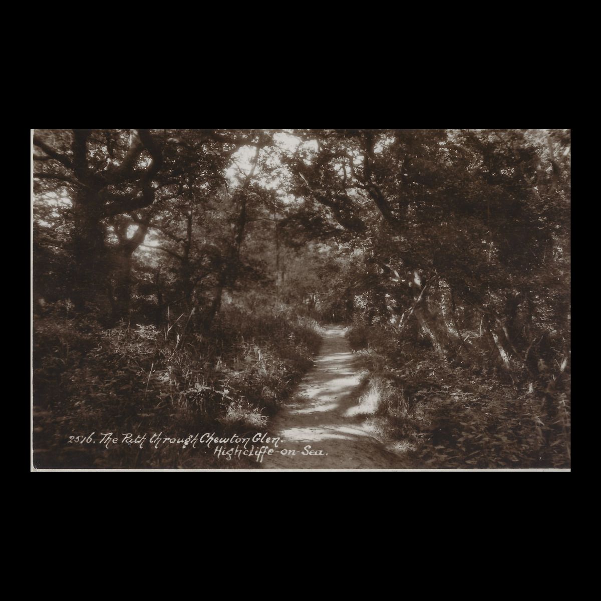 The Path through Chewton Glen, Highcliffe-on-Sea (c.1920s–1930s) | Real Photo Postcard