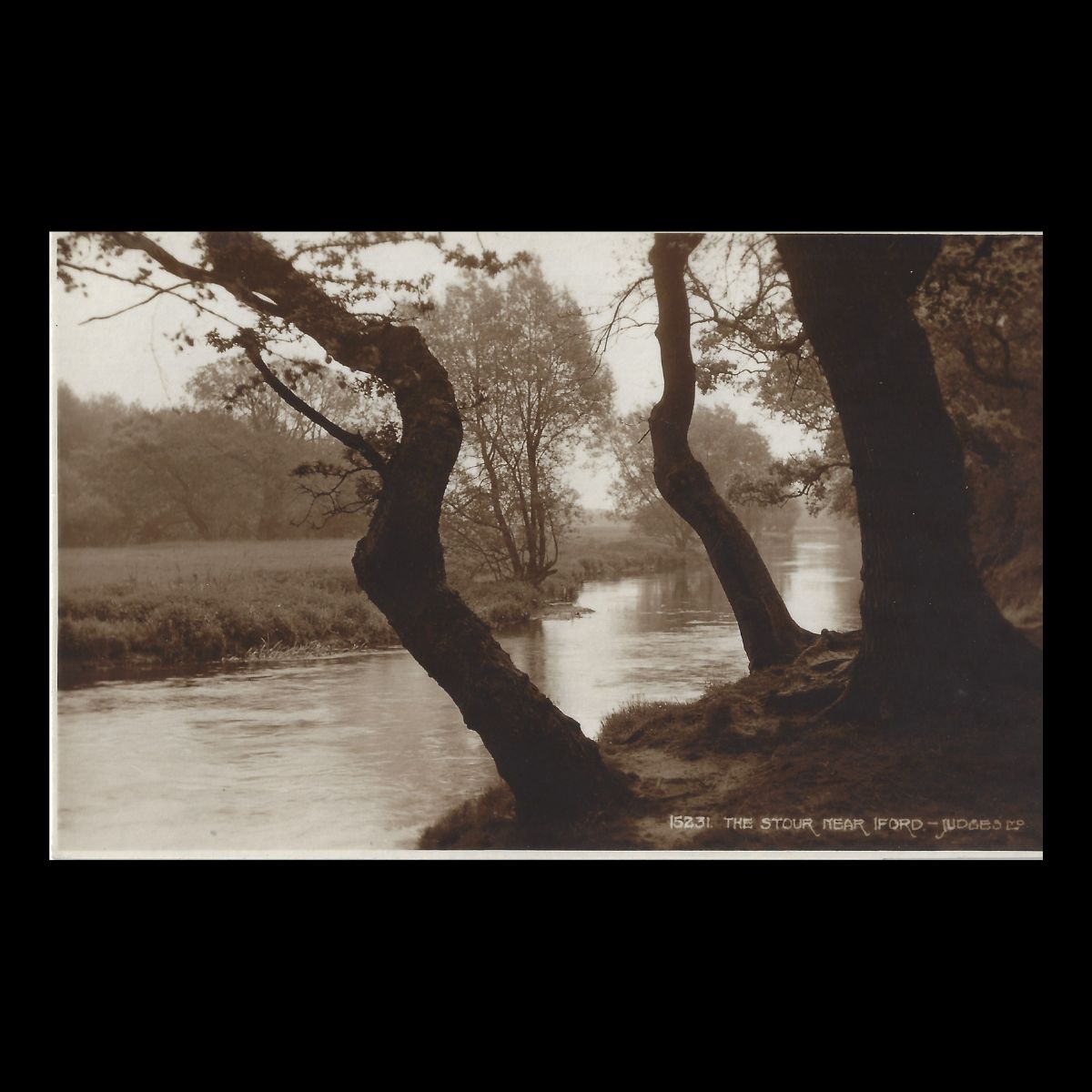 The Stour near Iford (c.1920s–1930s) | Real Photo Postcard