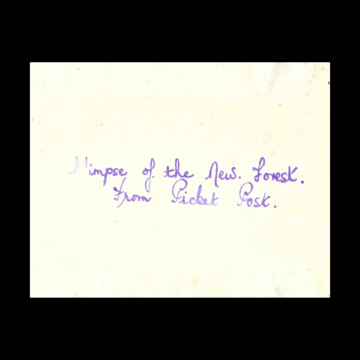 New Forest Snapshots Photo Album Reverse
