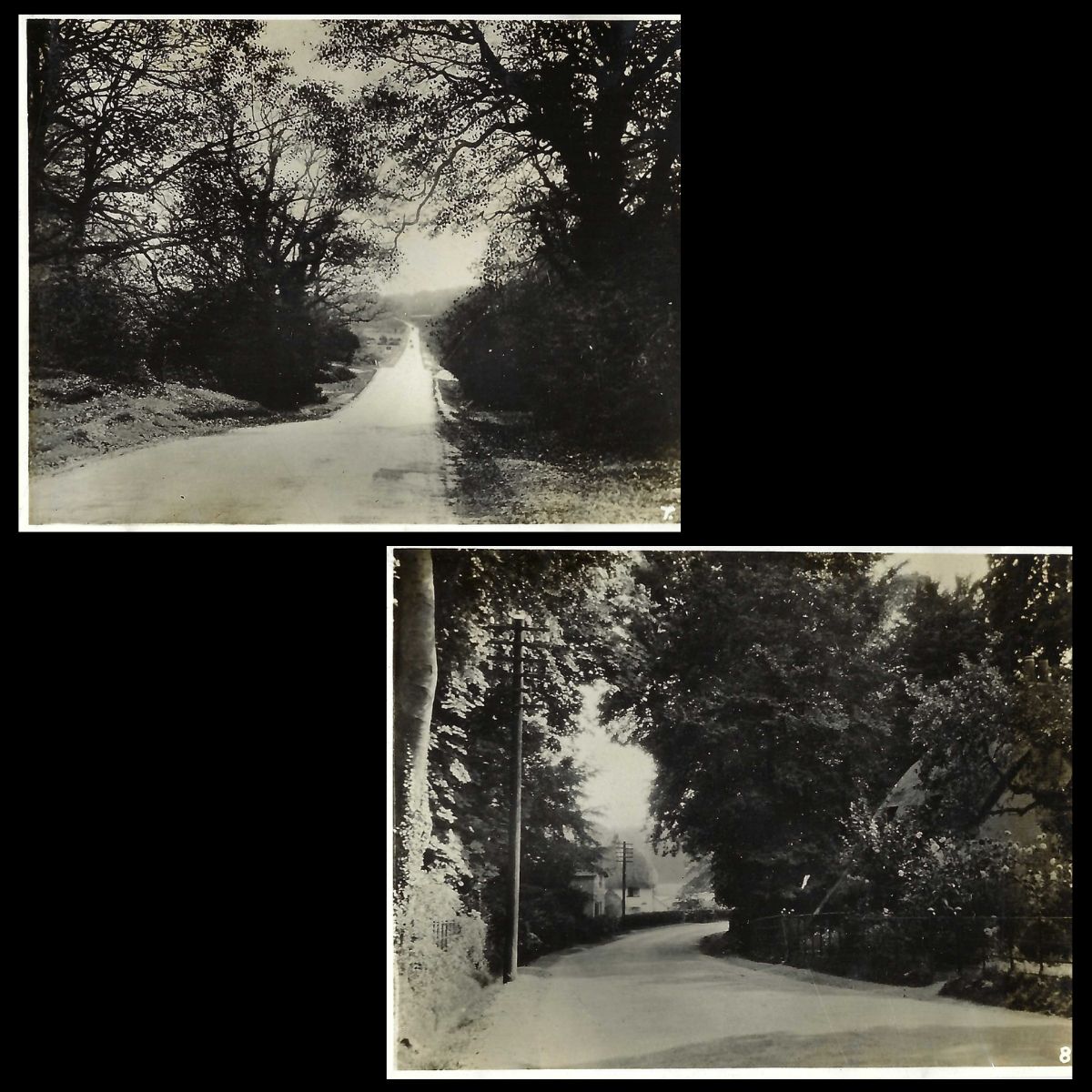 New Forest Snapshots Photo Album The Bournemouth Road and Brockenhurst Road