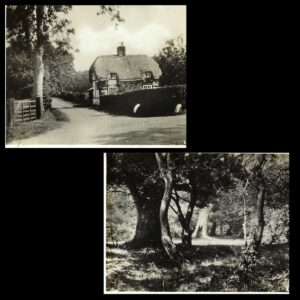 New Forest Snapshots Photo Album Wayside Cottage and Queens Bowen Brockenhurst